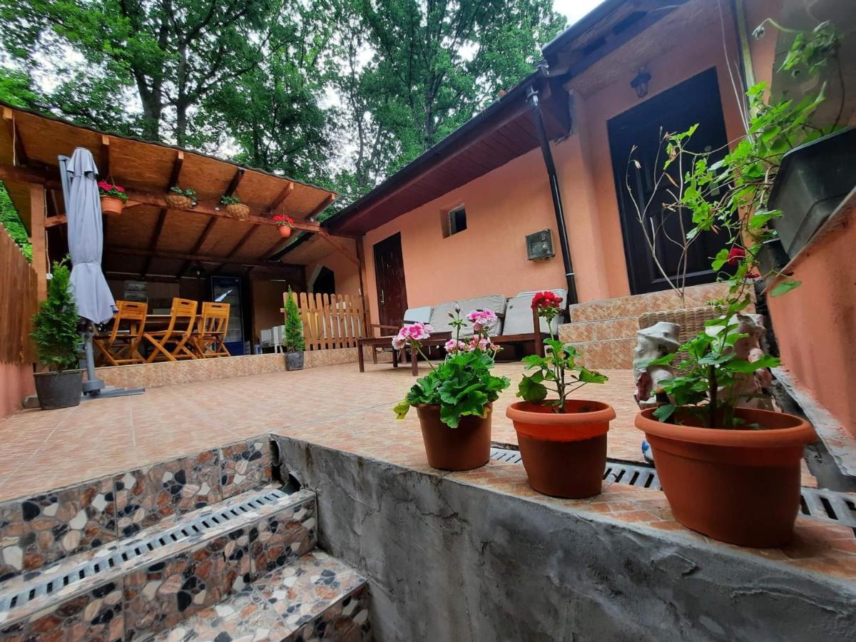 Ieşelniţa Casa De Vacanta Emd מראה חיצוני תמונה
