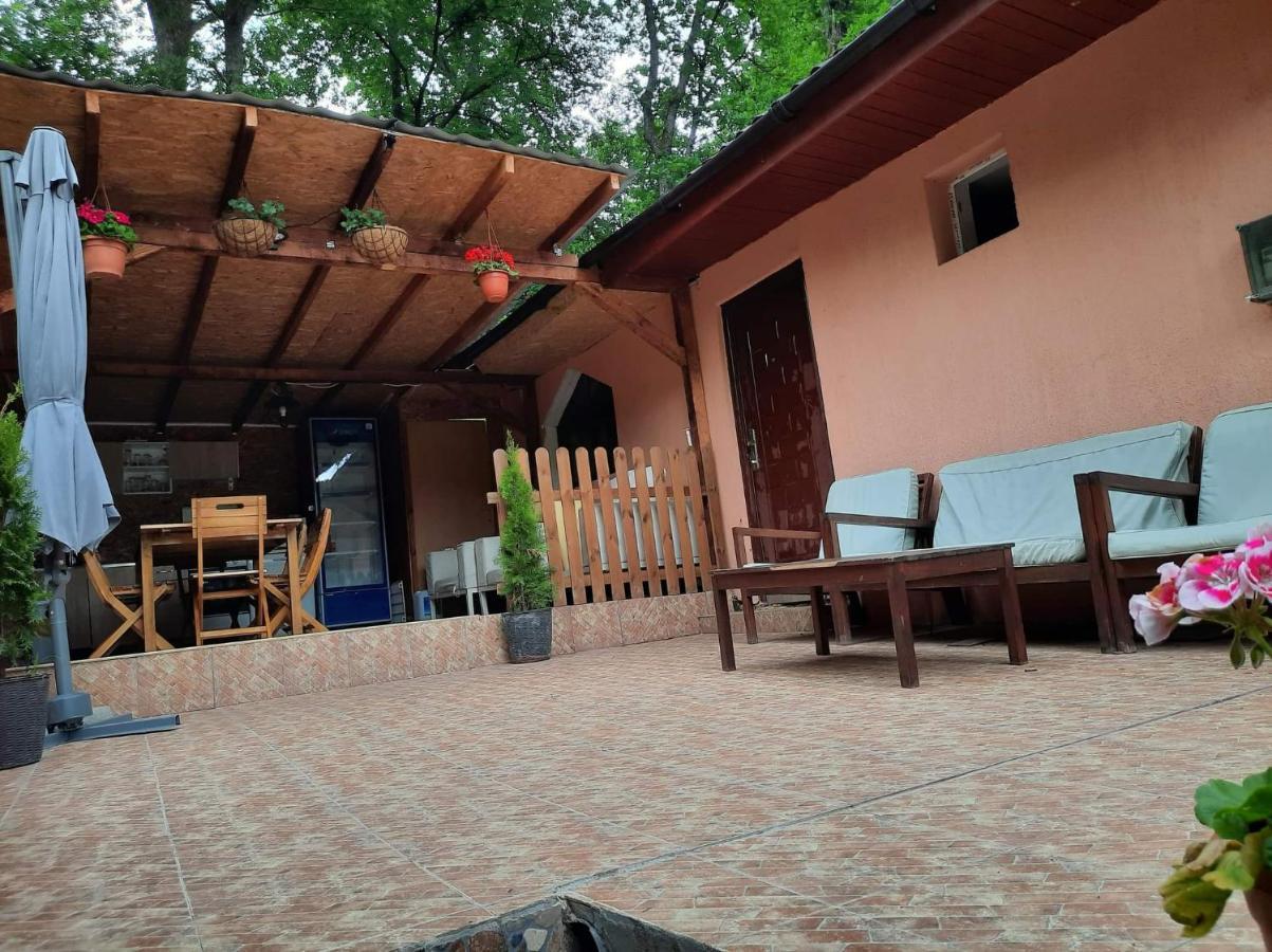 Ieşelniţa Casa De Vacanta Emd מראה חיצוני תמונה