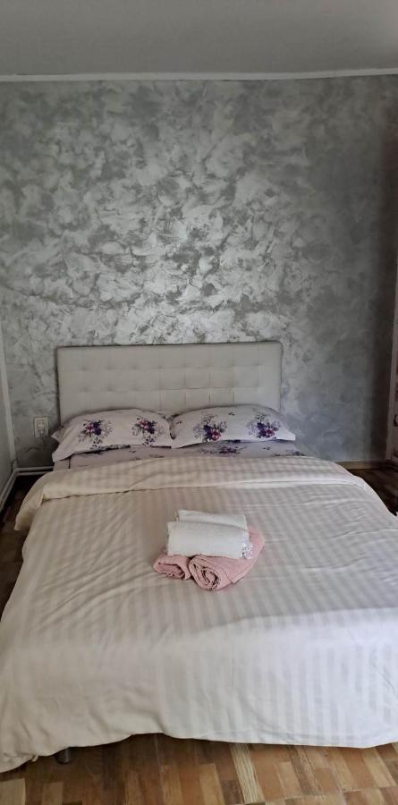 Ieşelniţa Casa De Vacanta Emd מראה חיצוני תמונה