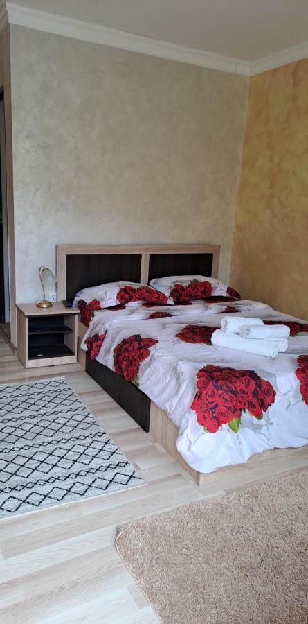 Ieşelniţa Casa De Vacanta Emd מראה חיצוני תמונה