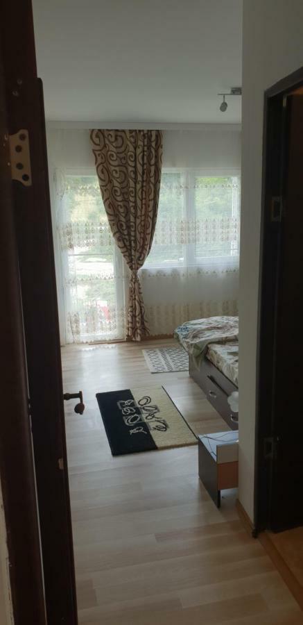 Ieşelniţa Casa De Vacanta Emd מראה חיצוני תמונה