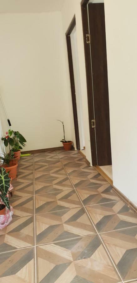 Ieşelniţa Casa De Vacanta Emd מראה חיצוני תמונה